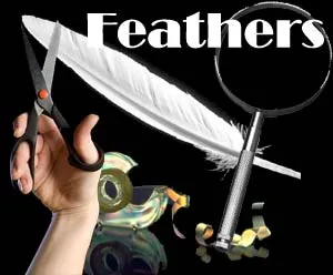 Feathers Science Experiment