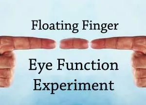 Eye Function Experiment